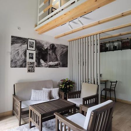 Zona Apartments 2 즈레냐닌 외부 사진