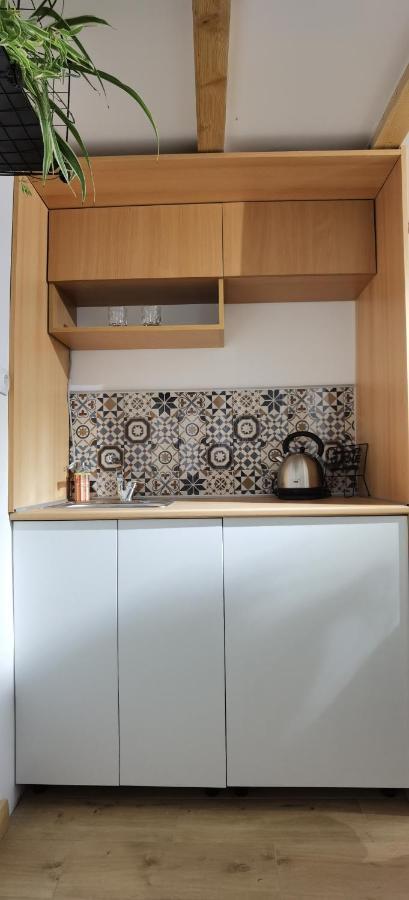 Zona Apartments 2 즈레냐닌 외부 사진