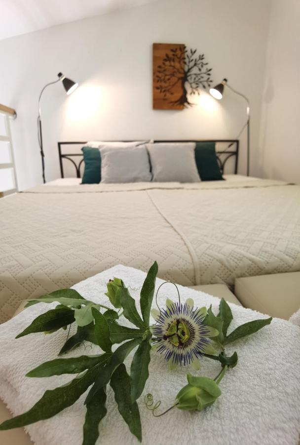 Zona Apartments 2 즈레냐닌 외부 사진