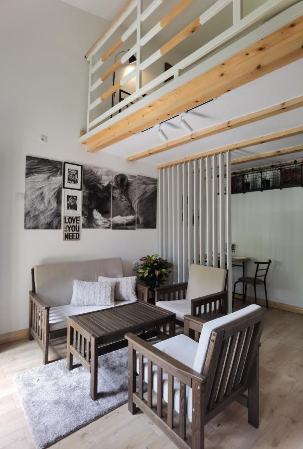 Zona Apartments 2 즈레냐닌 외부 사진