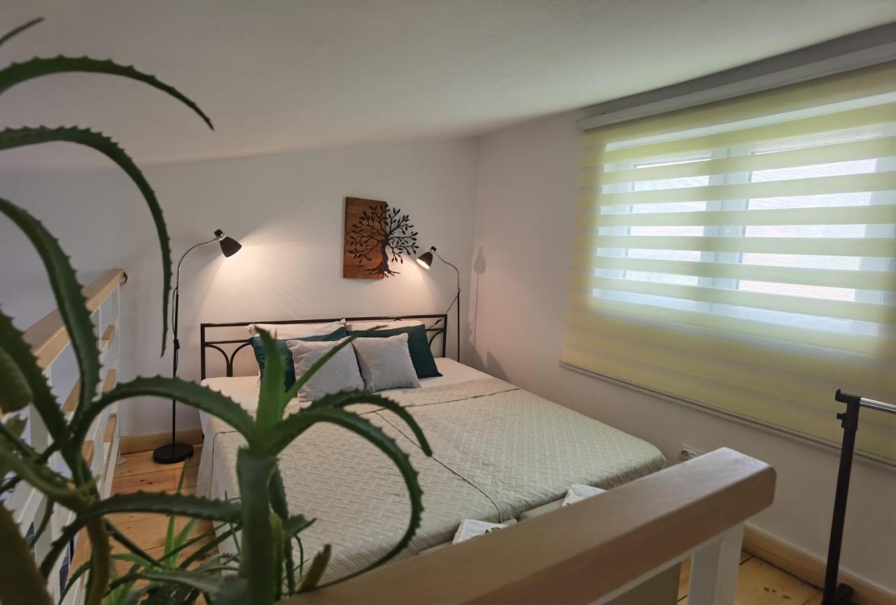 Zona Apartments 2 즈레냐닌 외부 사진